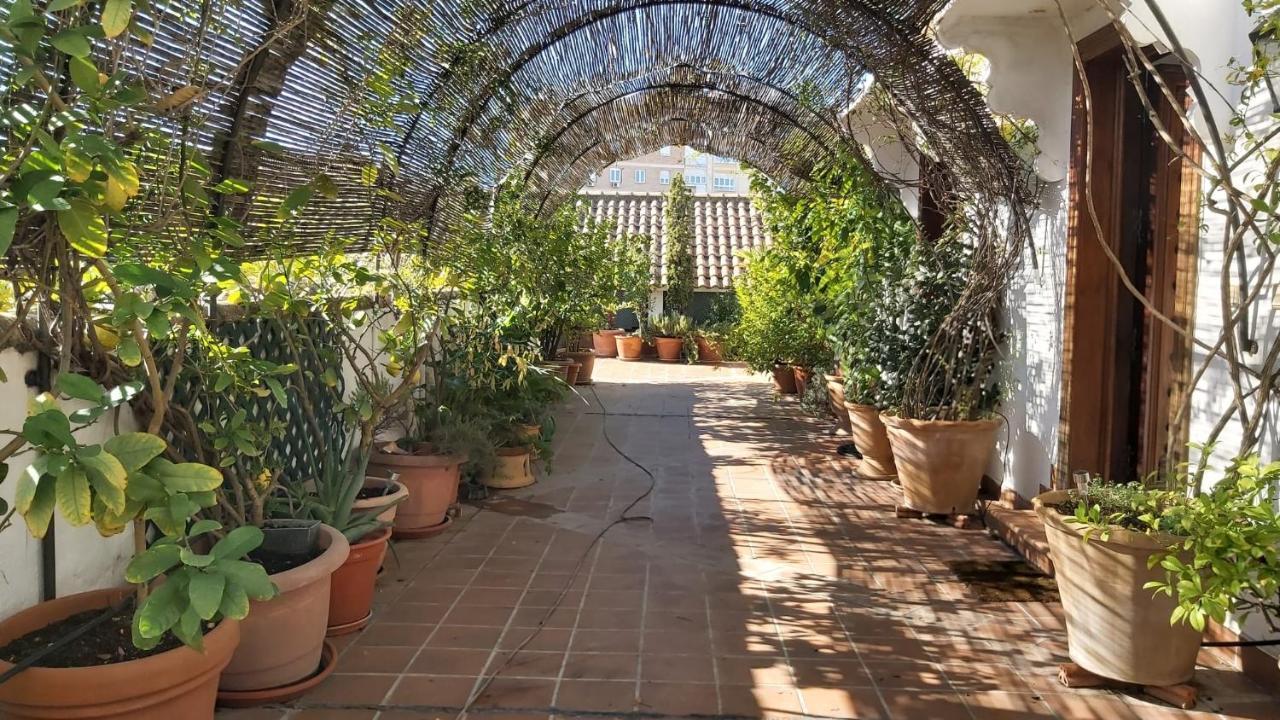 El Jardin De Wallada Córdoba Exteriér fotografie
